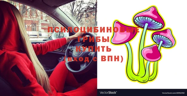 spice Алексин