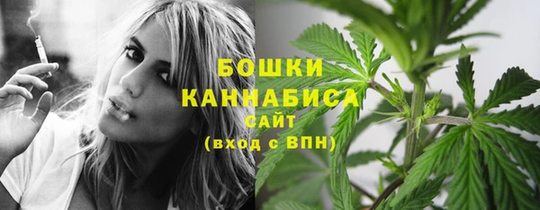 прущие грибы Навашино