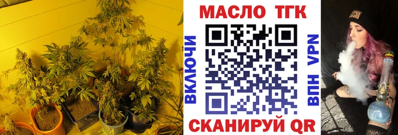 закладки  Любань  ТГК концентрат 
