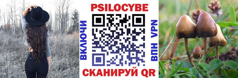 Галлюциногенные грибы Psilocybe  Любань 